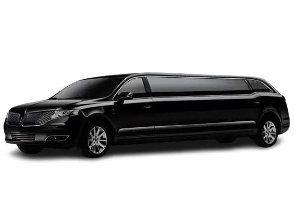 Untitled_design__13_-removebg-preview